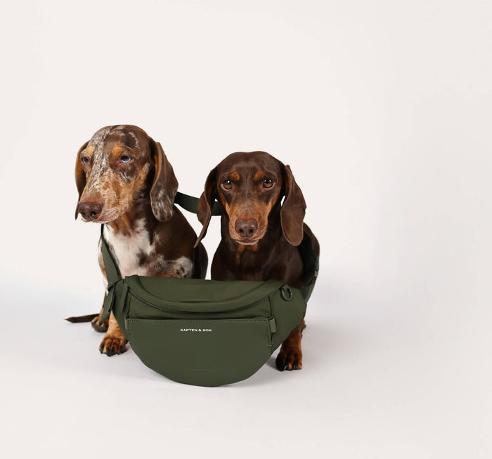 Zwei Dackel mit der Eli Dog Bag