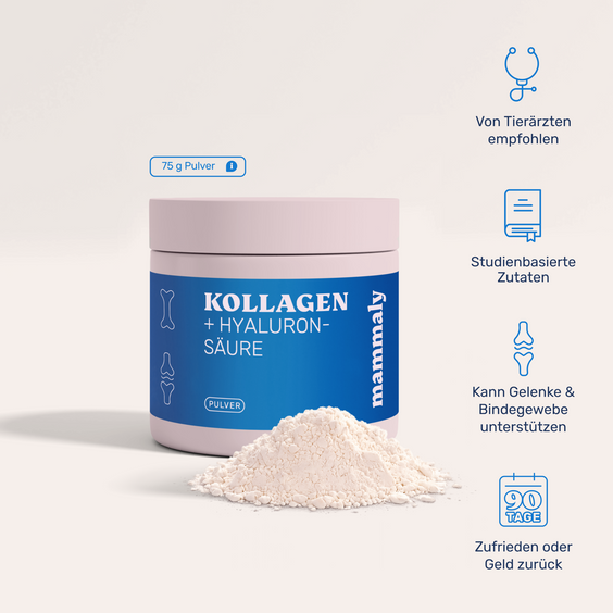Hunde Kollagenpulver und Hyaluronsäure Produktverpackung