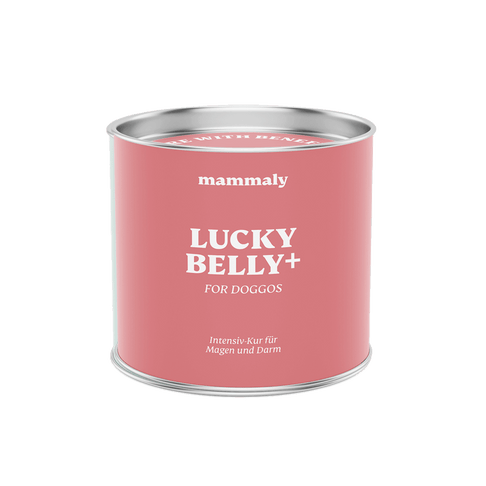 Lucky Belly Plus