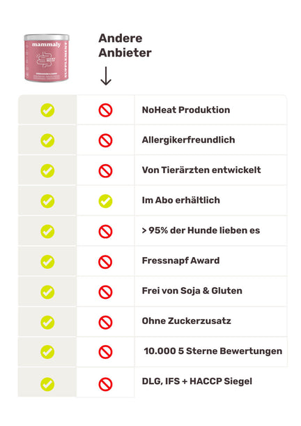 Was Lucky Belly vom Wettbewerb unterscheidet