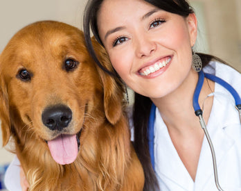 Tierärztin & Hunde-Ernährungsexpertin