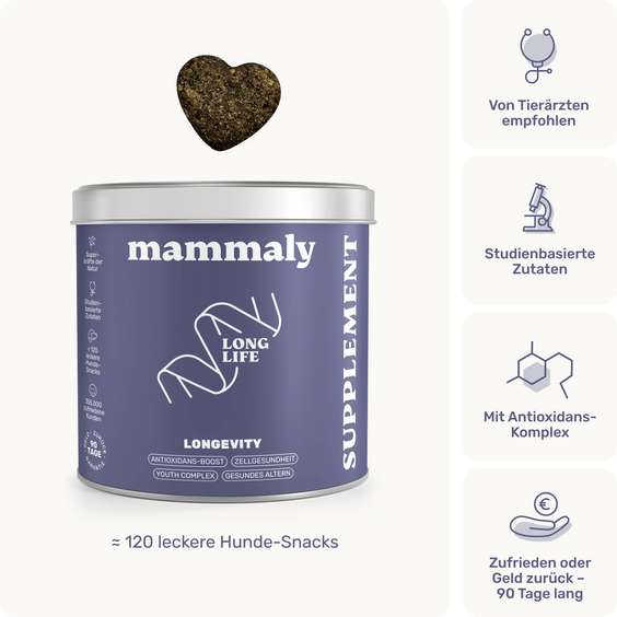 Hunde Zellpowersnack Long Life Produktverpackung