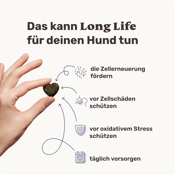 Hunde Zellpowersnack Long Life Produktvorteile