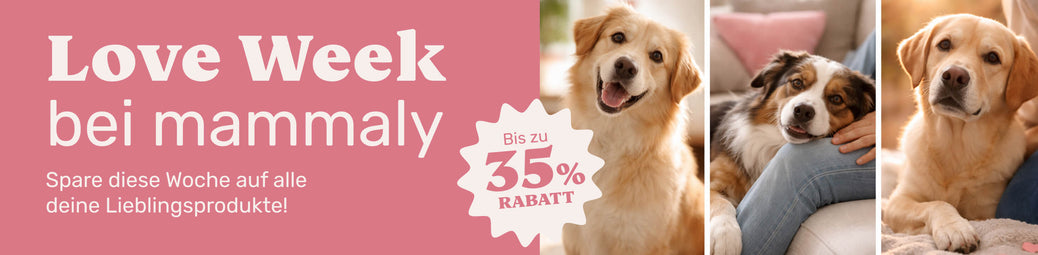 Vitalität & Balance