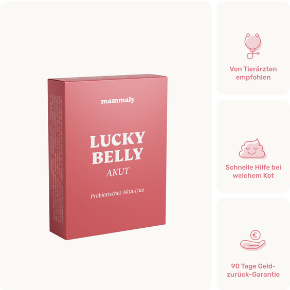 Magen-Darm Pulver für Hunde Lucky Belly Akut Produktverpackung