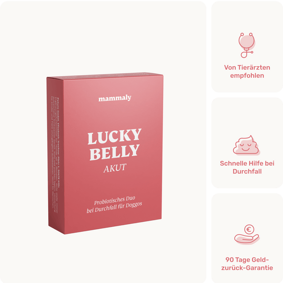 Magen-Darm Pulver für Hunde Lucky Belly Akut Produktverpackung
