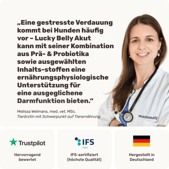 Magen-Darm Pulver für Hunde Lucky Belly Akut Tierarztempfehlung