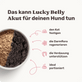 Magen-Darm Pulver für Hunde Lucky Belly Akut Produktvorteile