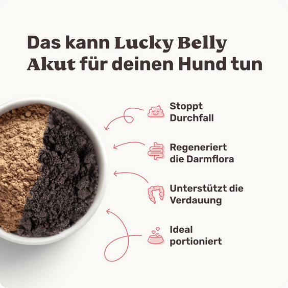 Magen-Darm Pulver für Hunde Lucky Belly Akut Produktvorteile