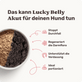 Magen-Darm Pulver für Hunde Lucky Belly Akut Produktvorteile