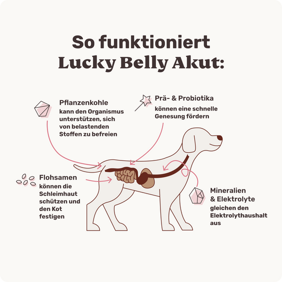 Magen-Darm Pulver für Hunde Lucky Belly Akut Inhaltsstoffe