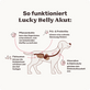 Magen-Darm Pulver für Hunde Lucky Belly Akut Inhaltsstoffe