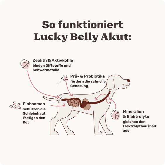 Magen-Darm Pulver für Hunde Lucky Belly Akut Inhaltsstoffe