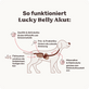Magen-Darm Pulver für Hunde Lucky Belly Akut Inhaltsstoffe