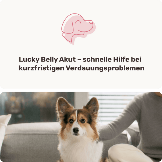 Magen-Darm Pulver Lucky Belly Akut Hintergrundwissen