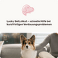 Magen-Darm Pulver Lucky Belly Akut Hintergrundwissen