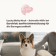 Magen-Darm Pulver Lucky Belly Akut Hintergrundwissen