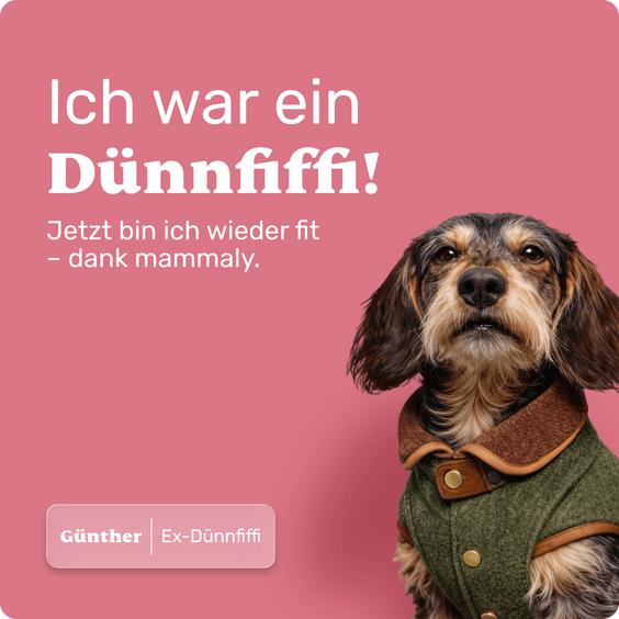 Ich war ein Dünnfiffi!