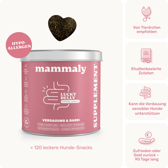 Hunde-Snack Lucky Belly Hypoallergen Produktverpackung