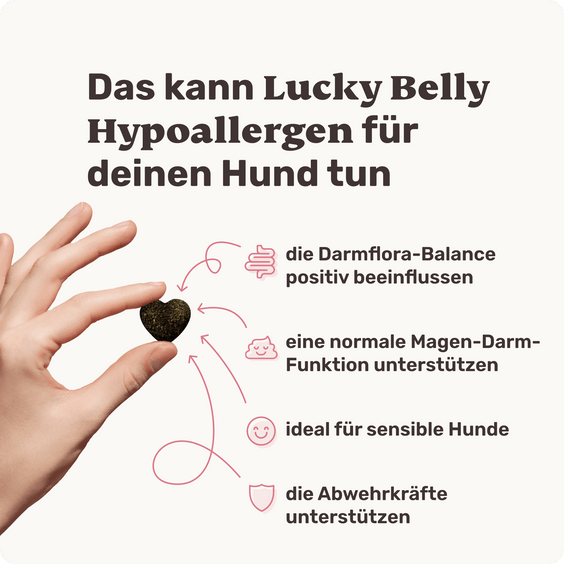 Hunde-Snack Lucky Belly Hypoallergen Produktvorteile