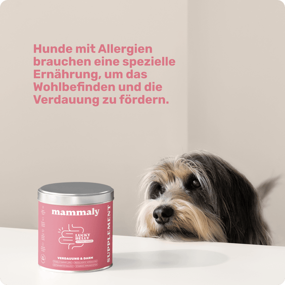 Hunde-Snack Lucky Belly Hypoallergen Hintergrundwissen