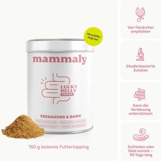 Hunde Darmpulver Lucky Belly Topping Produktverpackung