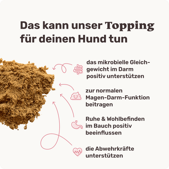 Hunde Darmpulver Lucky Belly Topping Produktvorteile
