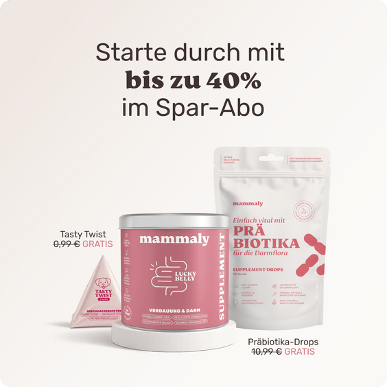 Hunde Verdauungssnack Lucky Belly Produktverpackung