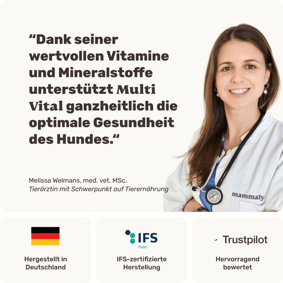 Hunde Multivitaminsnack Multi Vital Tierarztempfehlung