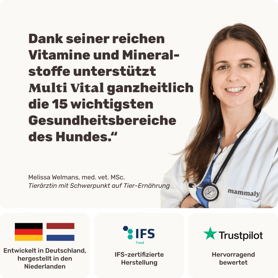 Hunde Multivitaminsnack Multi Vital Tierarztempfehlung