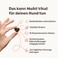 Hunde Multivitaminsnack Multi Vital Produktvorteile