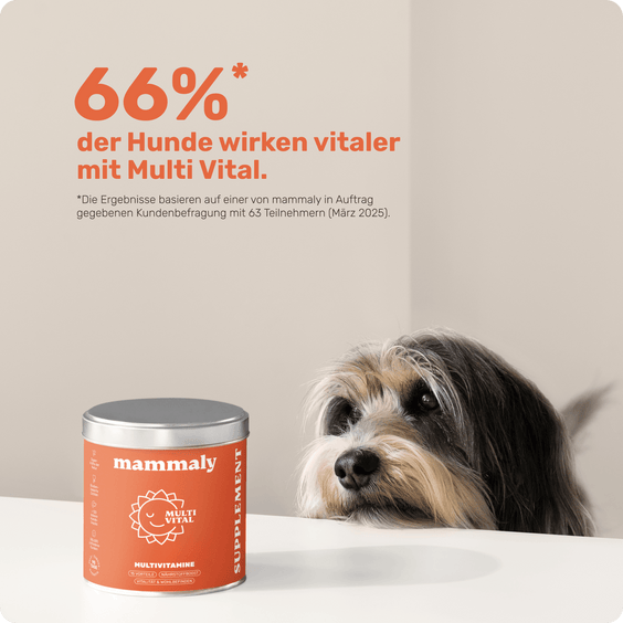 Hunde Multivitaminsnack Multi Vital Produktstudie