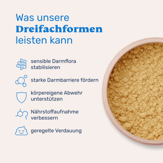 Probiotika, Präbiotika und Postbiotika – Produktvorteile für Hunde