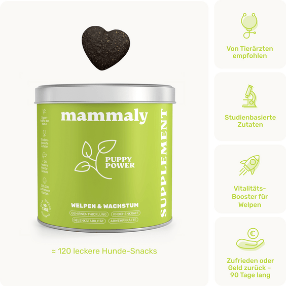 Welpensnack Puppy Power Produktverpackung