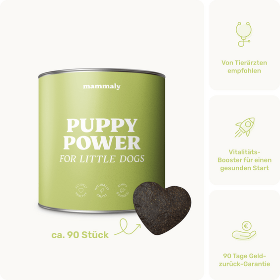 Welpensnack Puppy Power Produktverpackung