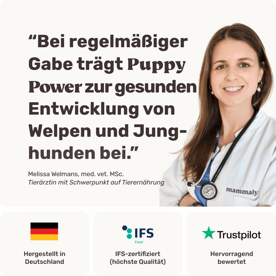 Welpensnack Puppy Power Produktverpackung