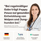 Welpensnack Puppy Power Produktverpackung