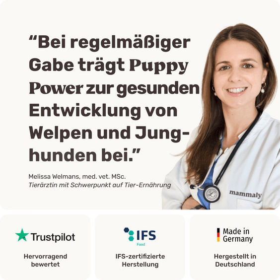 Welpensnack Puppy Power Produktverpackung