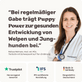 Welpensnack Puppy Power Produktverpackung