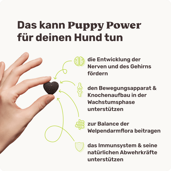 Welpensnack Puppy Power Produktvorteile