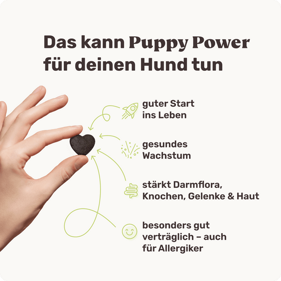 Welpensnack Puppy Power Produktvorteile