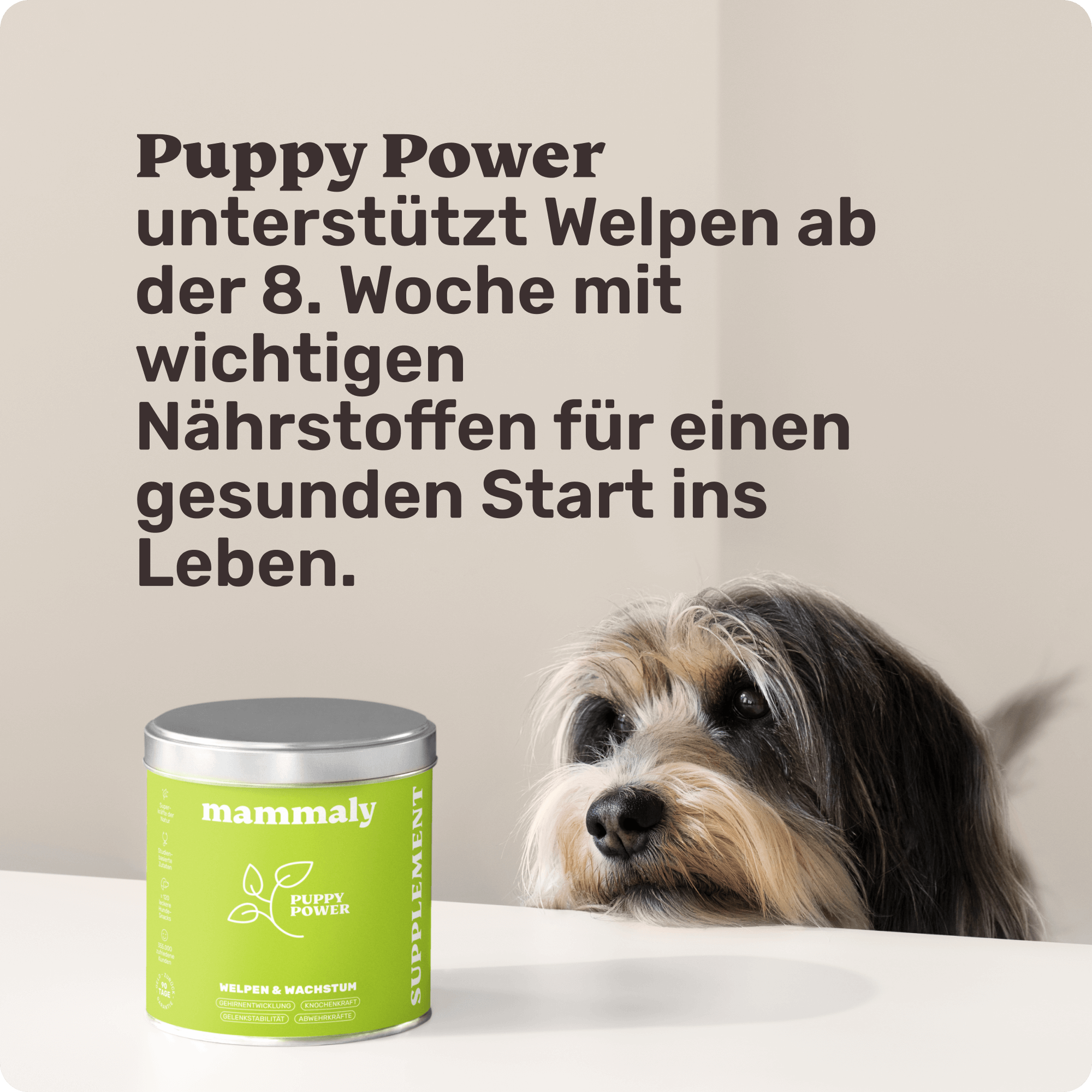 Vital-Snacks für Welpen | Puppy Power