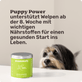 Welpensnack Puppy Power Hintergrundwissen