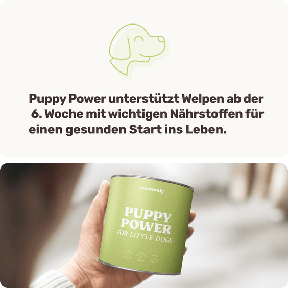 Welpensnack Puppy Power Hintergrundwissen