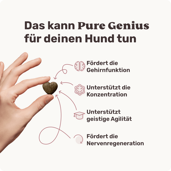 Hunde-Snack Pure Genius Produktvorteile