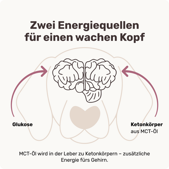 Hunde Kognitions-Snack Pure Genius zweite Energiequelle fürs Gehirn