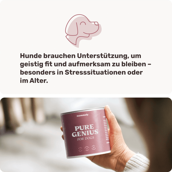 Hunde-Snack Pure Genius Hintergrundwissen