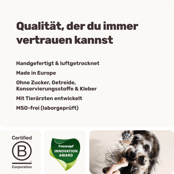 Hochwertige Herstellung in Europa