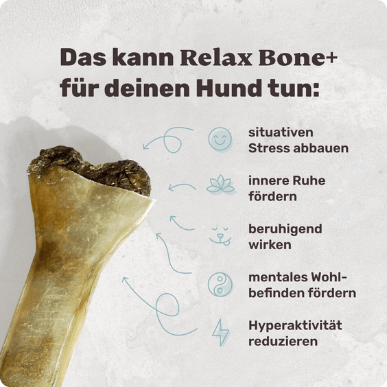 Relax Bone+ Kauknochen mit Funktion Produktvorteile