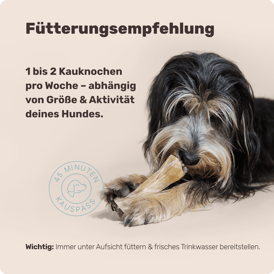 Relax Bone+ Kauknochen mit 4in1-Relax-Komplex im Kern Fütterungsempfehlung